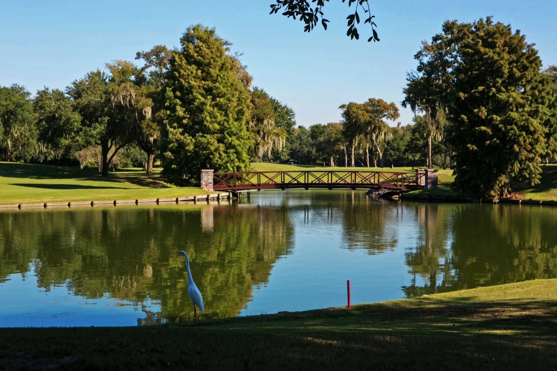 An egret at the edge of a pond with a footbridge and oak trees at BraeBurn Country Club, Houston