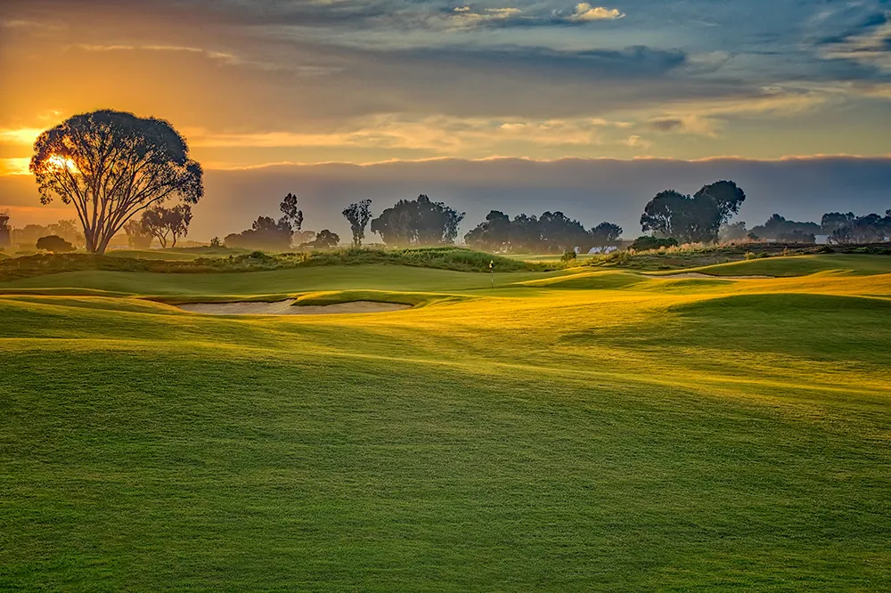 Sunrise behind a eucalyptus tree above a bunker and fairway at Baylands Golf Links, Palo Alto.